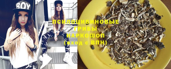 прущие грибы Арсеньев