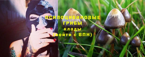 прущие грибы Арсеньев