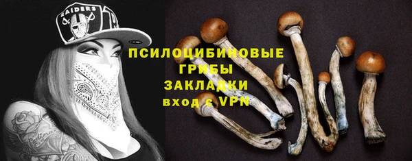 прущие грибы Арсеньев