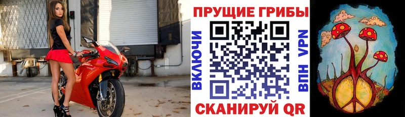 Галлюциногенные грибы прущие грибы Советская Гавань