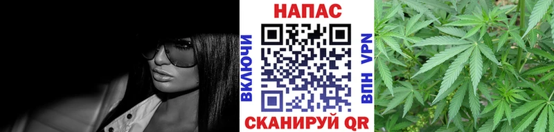 МАРИХУАНА ГИДРОПОН  Советская Гавань 